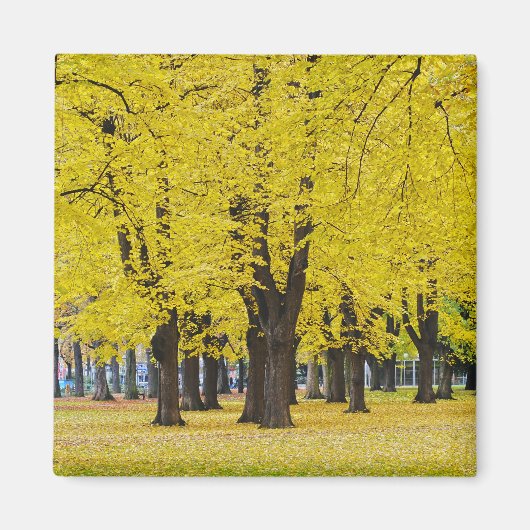 Autumn Magnet (Vorne)