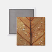 Autumn Magnet (Vorderseite/Rückseite)