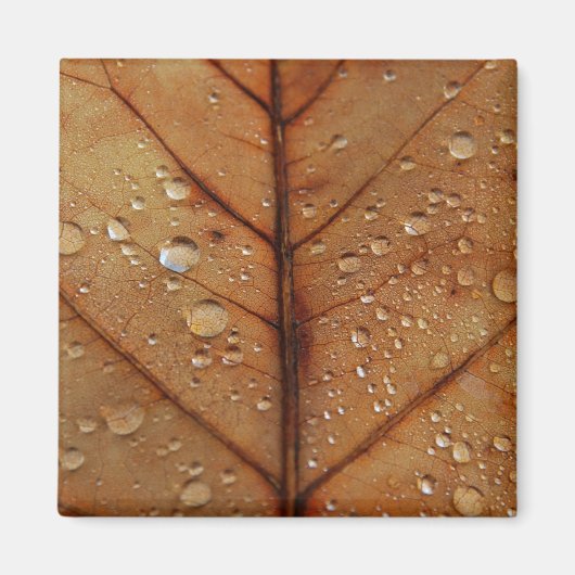 Autumn Magnet (Vorne)