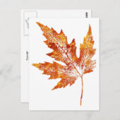 "Autumn Maple #1" - Postkarte für Landstraßen (Vorne/Hinten)
