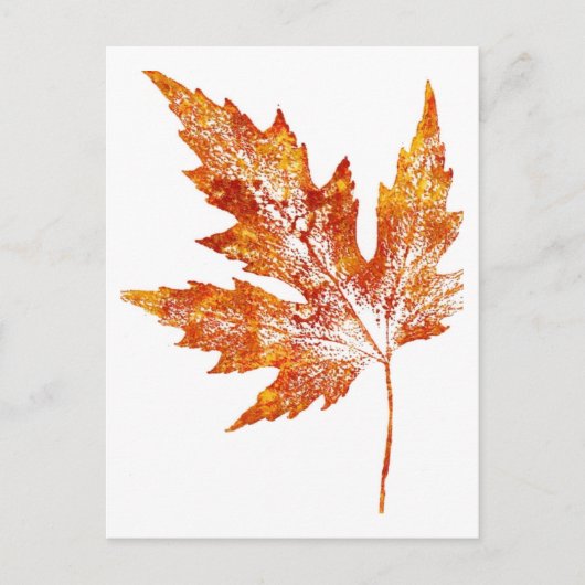 "Autumn Maple #1" - Postkarte für Landstraßen (Vorderseite)