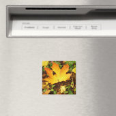 Autumn Maple Leaf Magnet (In Situ (Geschirrspüler))