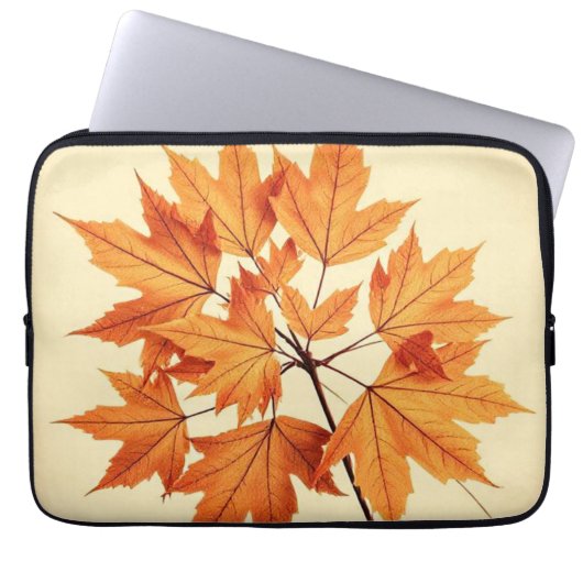 Autumn Maple Leaf Print: Fall Foliage Laptopschutzhülle (Vorderseite)