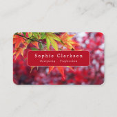 Autumn Maple Tree Leaves, Rustic Visitenkarte (Vorderseite)