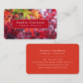 Autumn Maple Tree Leaves, Rustic Visitenkarte (Vorne/Hinten)