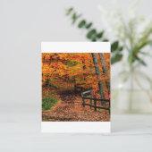 Autumn Mccormick Creek Staat Park Indiana Postkarte (Stehend Vorderseite)