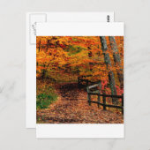 Autumn Mccormick Creek Staat Park Indiana Postkarte (Vorne/Hinten)