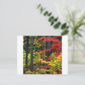 Autumn Michigan Postkarte (Stehend Vorderseite)