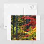 Autumn Michigan Postkarte (Vorne/Hinten)