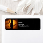 Autumn Moon Shining Through the Tree Fish Eye View (Insitu)