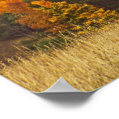 "AUTUMN PALETTE/MICHIGAN LAND" POSTER (Ecke)