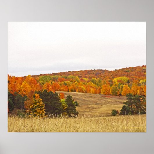"AUTUMN PALETTE/MICHIGAN LAND" POSTER (Vorne)