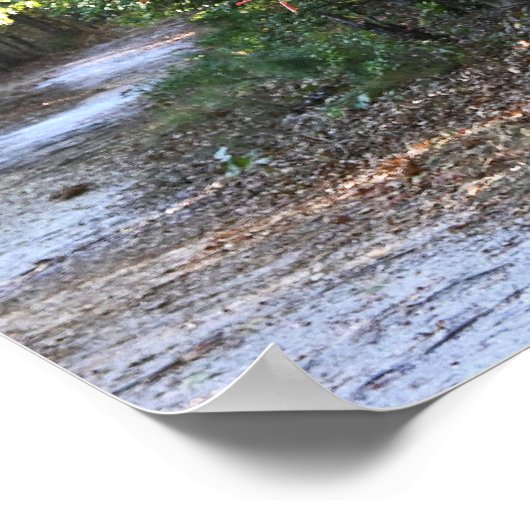 Autumn Park Poster (Ecke)