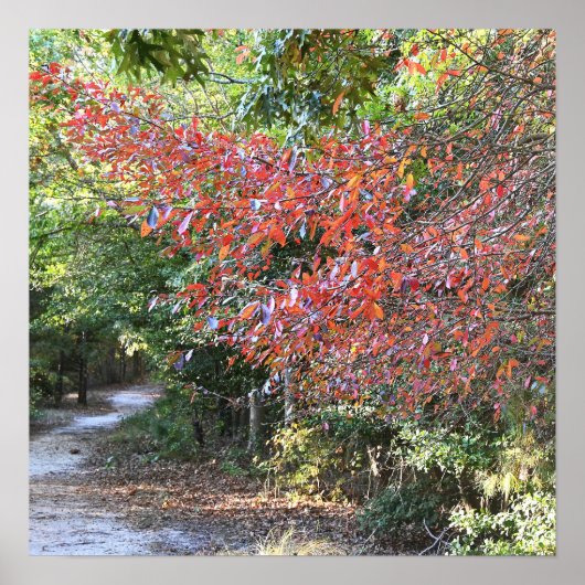 Autumn Park Poster (Vorne)