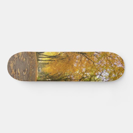 Autumn path with yellow trees and fallen leaves skateboard (Horizontal)