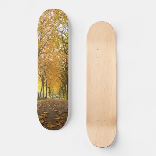 Autumn path with yellow trees and fallen leaves skateboard (Vorderseite)