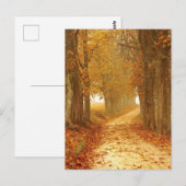 Autumn Pathway Postcard Postkarte (Vorne/Hinten)