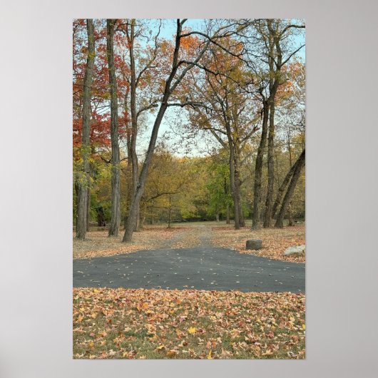 Autumn Pathway Poster (Vorne)