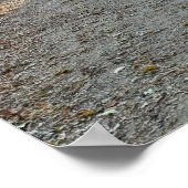 Autumn Pathway Poster (Ecke)