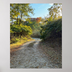 Autumn Pathway Poster