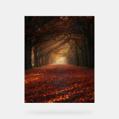 Autumn Pathway – Serene Tree Tunnel Art Print Acrylschild (Vorderseite)
