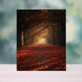 Autumn Pathway – Serene Tree Tunnel Art Print Acrylschild (Neutral)