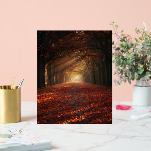 Autumn Pathway – Serene Tree Tunnel Art Print Acrylschild (Hochzeit)