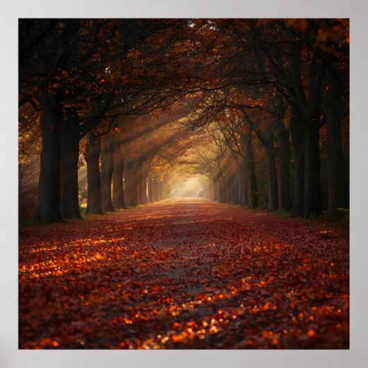 Autumn Pathway – Serene Tree Tunnel Art Print Poster (Vorne)