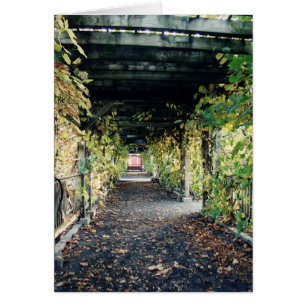 Autumn Pergola
