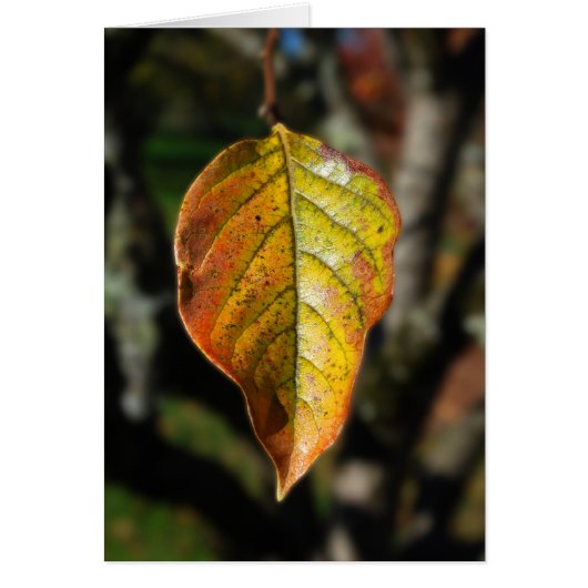 Autumn Persimmon Leaf (Vorne)