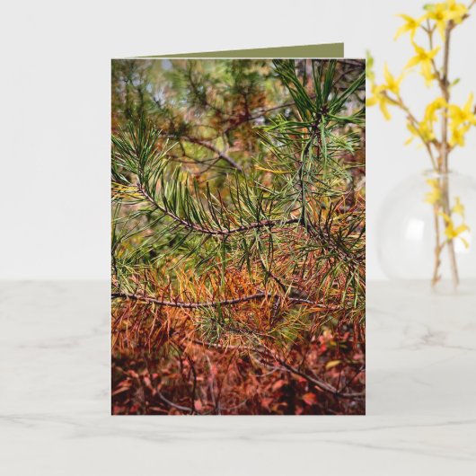 Autumn Pine Needles  Karte (Gelbe Blume)