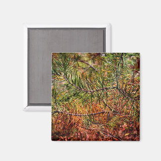 Autumn Pine Needles  Magnet