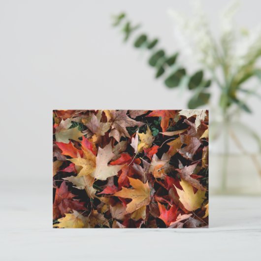 Autumn Postkarte (Stehend Vorderseite)