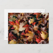 Autumn Postkarte (Vorne/Hinten)