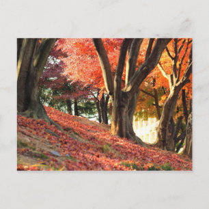 Autumn Postkarte