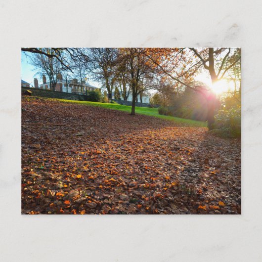 Autumn postkarte (Vorderseite)