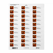 Autumn Pumpkin Foto (Vorne)