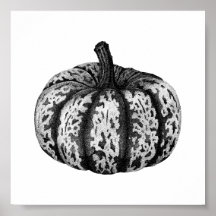 Autumn Pumpkin Ink Stipple Zeichnend Poster