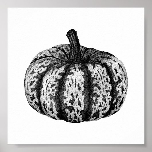 Autumn Pumpkin Ink Stipple Zeichnend Poster (Vorne)