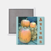 Autumn Pumpkin Magnet (Vorderseite/Rückseite)