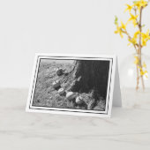 Autumn Pumpkins Blank Grußkarte Karte (Gelbe Blume)