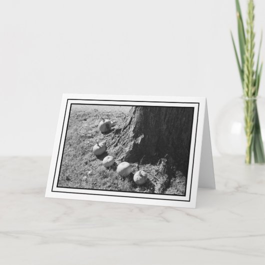 Autumn Pumpkins Blank Grußkarte Karte (Vorderseite)