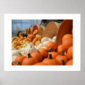 Autumn Pumpkins Poster (Vorne)