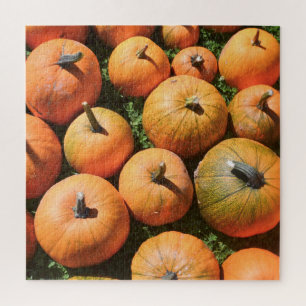 Autumn Pumpkins Puzzle