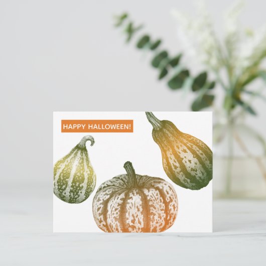 Autumn Pumpkins Stipple Zeichnend Postcard Postkarte (Stehend Vorderseite)
