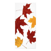 Autumn Rack Card Werbekarte (Hinten)