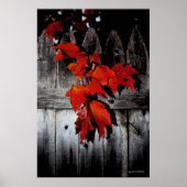 Autumn Red Poster (Vorne)