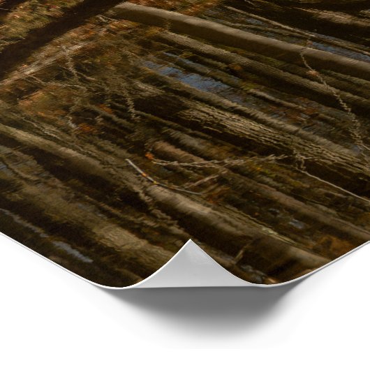 Autumn Reflections Poster (Ecke)