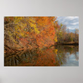 Autumn Reflections  Poster (Vorne)