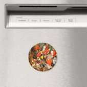 AUTUMN-REGELUNG ~ Umfang Magnet (In Situ (Geschirrspüler))